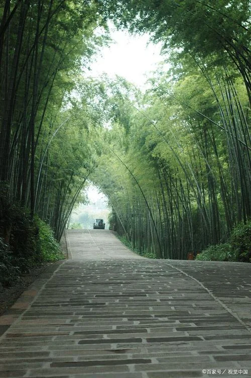 蜀南竹海游玩景点_1
