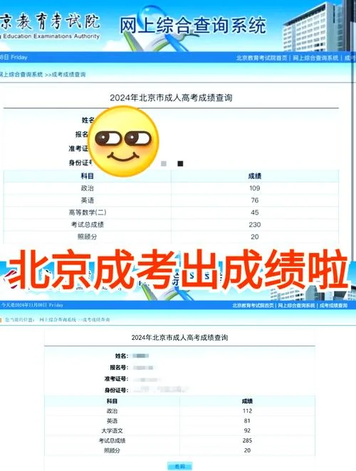 高考成绩查询要什么_1