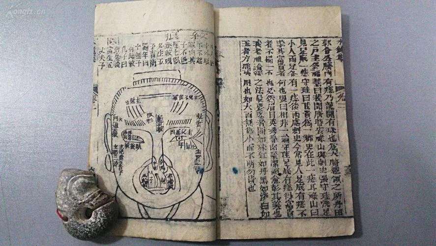 达摩一掌经在线算命-一掌经算命