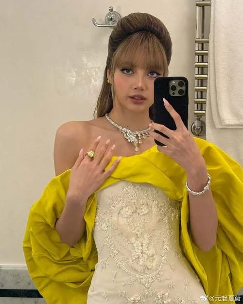 lisa的粉丝名叫什么_1