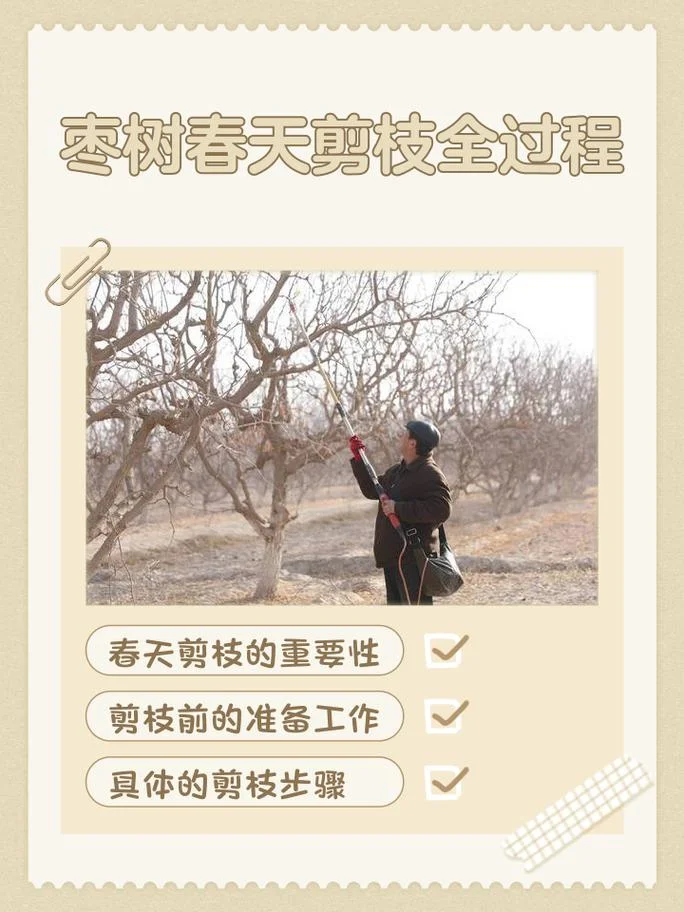 北方果树几月剪枝_1