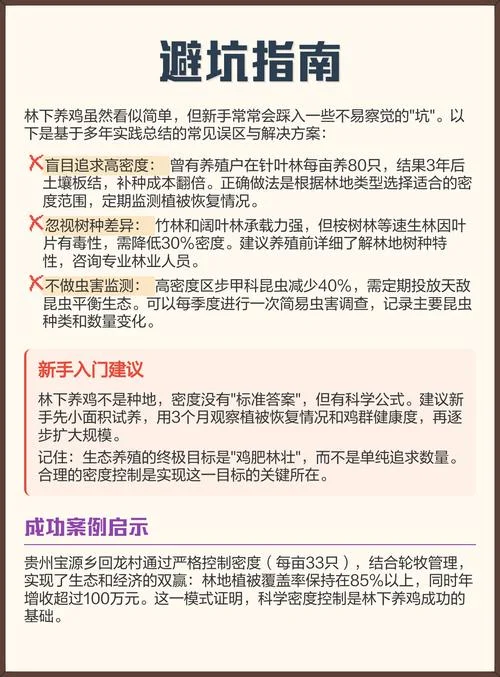 林下养鸡一亩养多少只_2