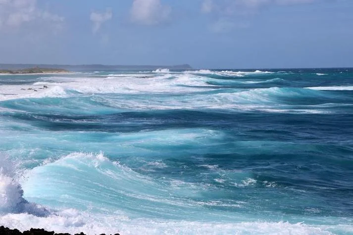 梦见海浪打到身上_1