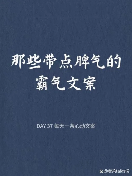 特别拽的文案_1