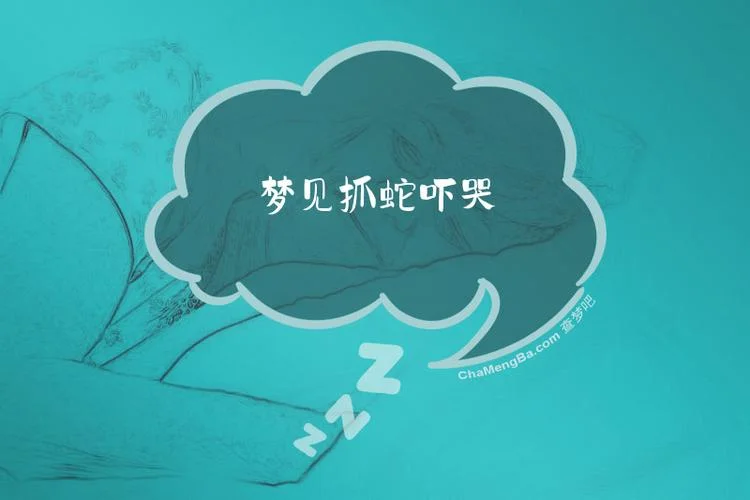 梦见抓了很多蛇-梦见抓蛇