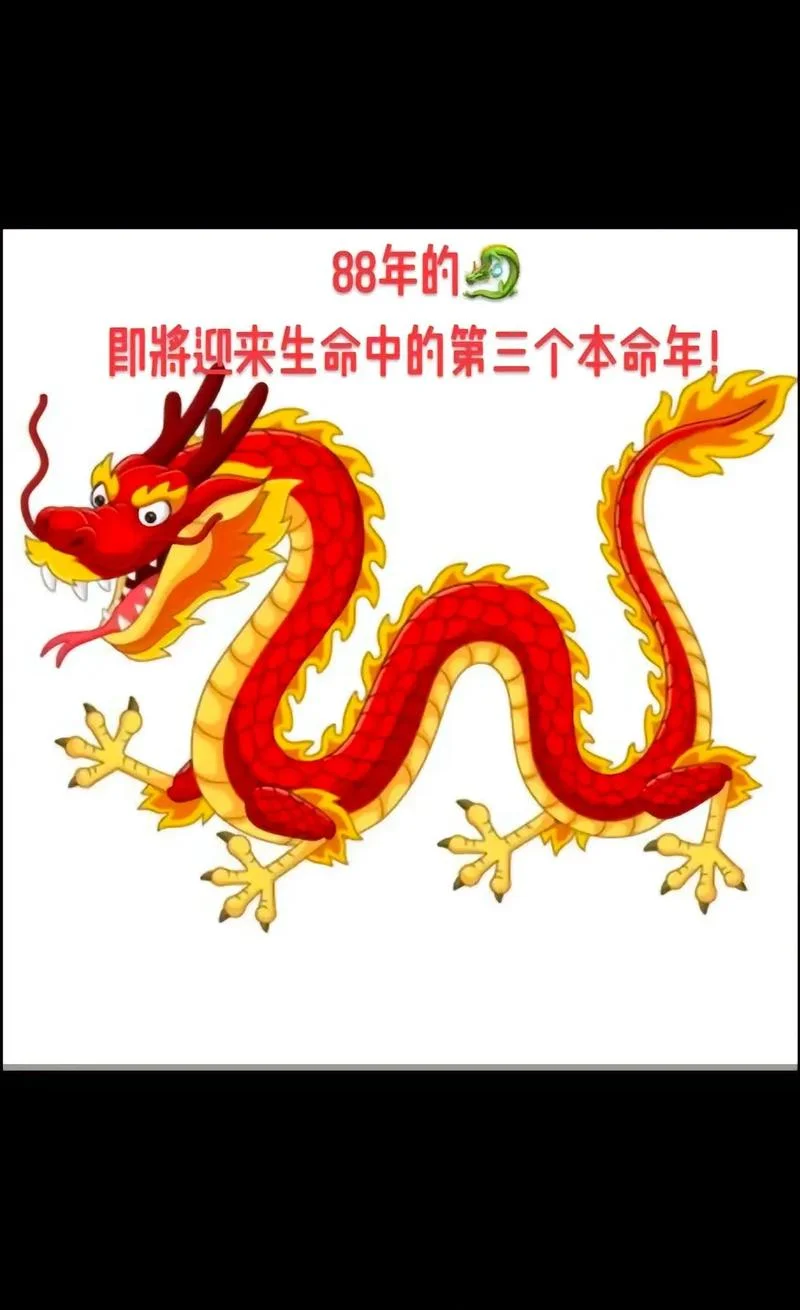 1988年属相龙的运势_1