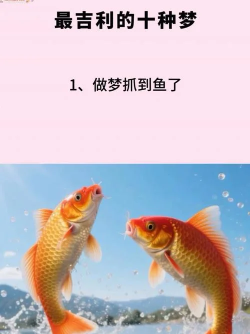 梦见放鱼是什么征兆_2