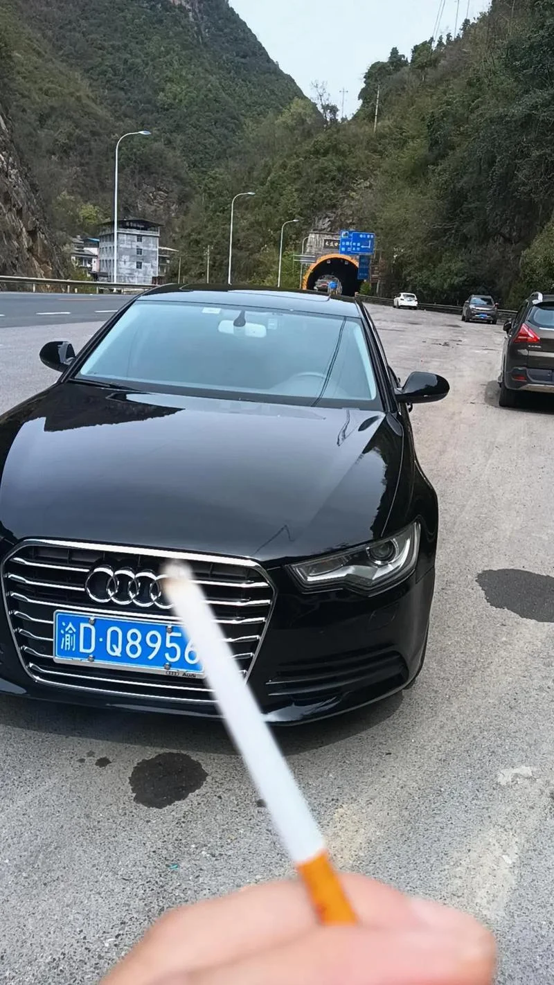 渝d属于哪个省的车牌-重庆车牌归属地