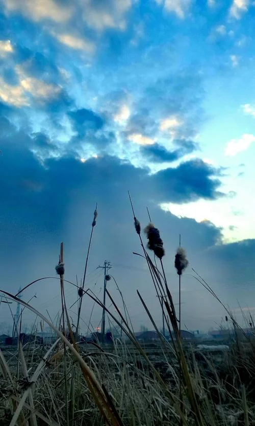 桦南县历史天气查询_2