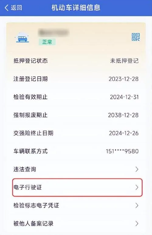 怎么查行驶证信息_2