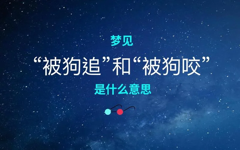梦见骑车狗追着咬我是什么意思_2