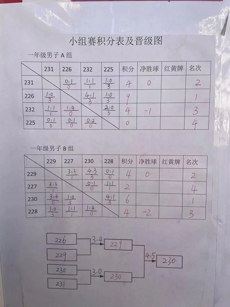 足球比赛成绩统计表_1