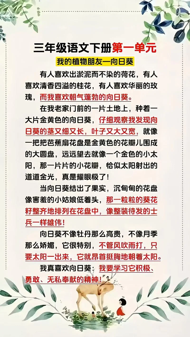 我和我的植物朋友作文怎么写_1