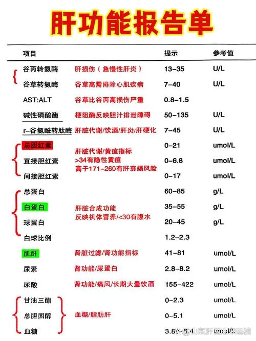 如何查肝纤维化指标_2