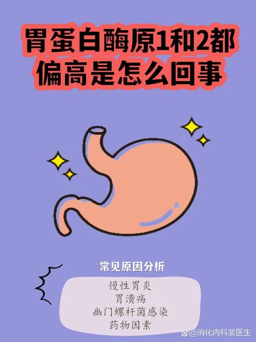 胃蛋白酶原1如何查_2