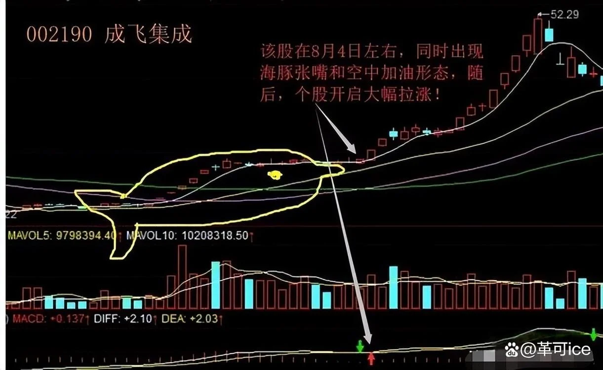 海豚股票之前叫什么_1