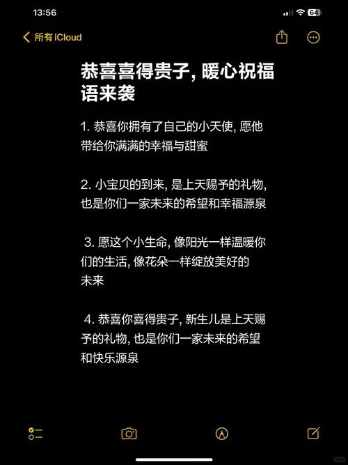 生两个儿子的祝福语_1