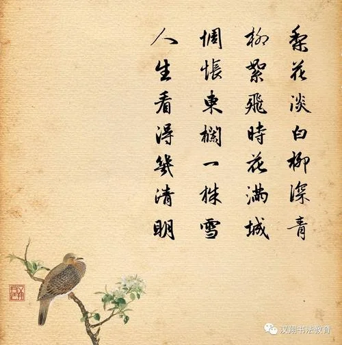 柳絮飞时花满城上一句_2