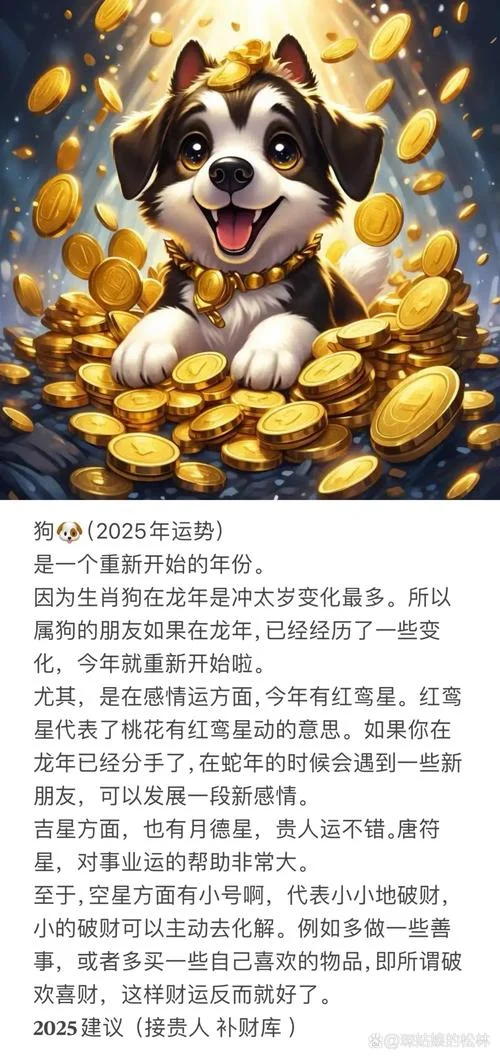 属狗龙年运势2024年运程-属狗龙年运势详解