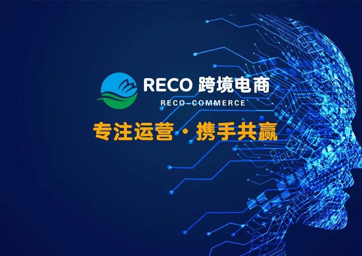 电商代运营公司是什么_1