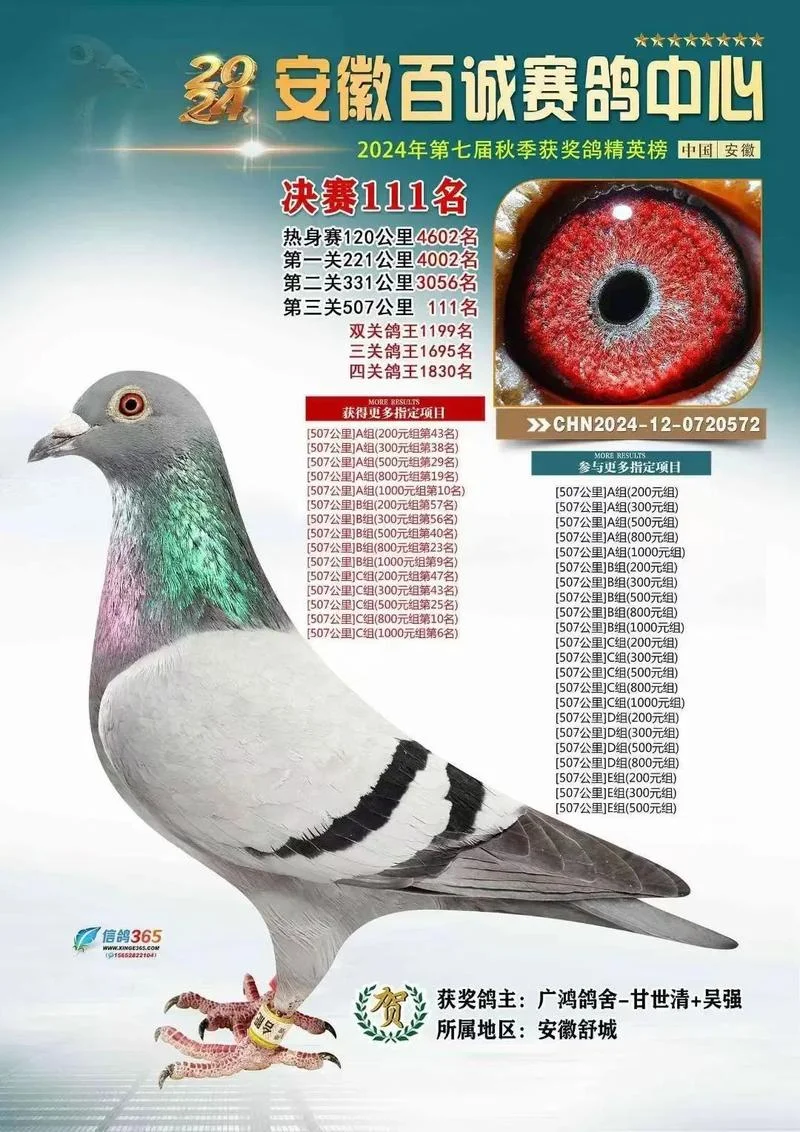 苏州市信鸽协会网成绩_2