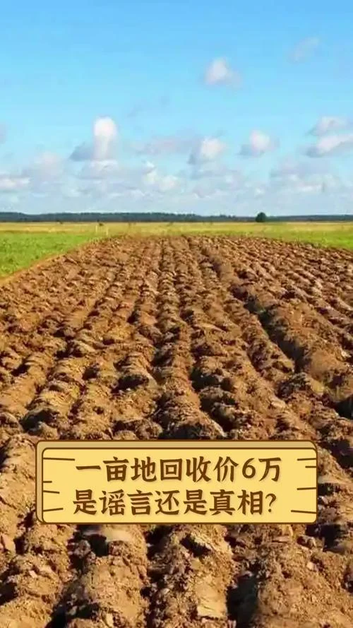 一亩地面积大概多少_1