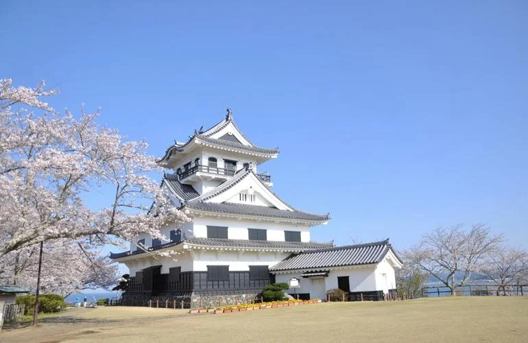 日本成城国际大学_2