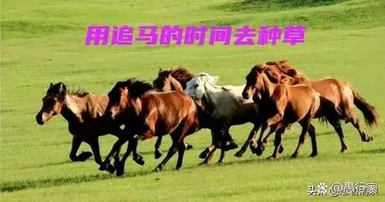 梦到被马追是什么意思_2