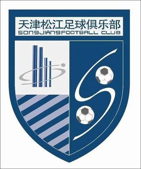 足球甲级联赛哪一年开始_2