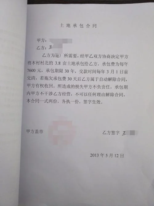 项目承包合同模式_2