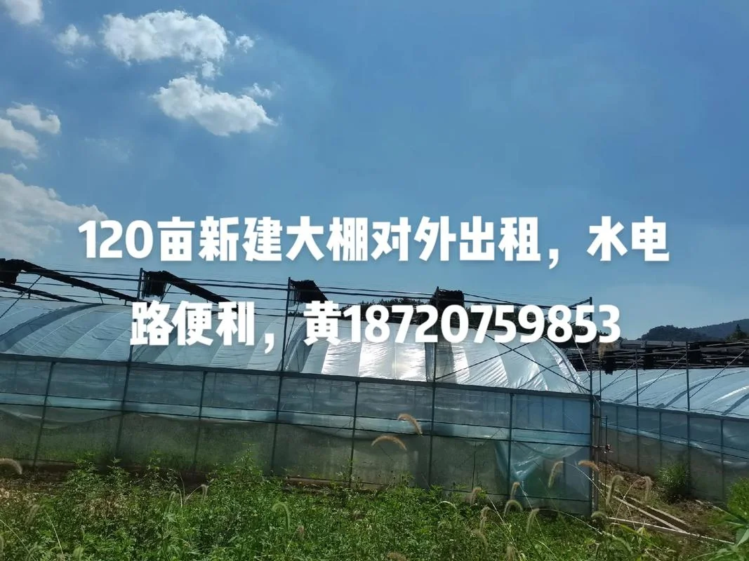 两亩地大棚需要多少钱_1