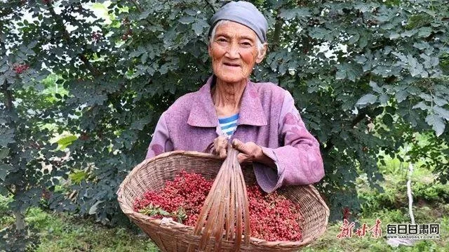 深圳残疾证免费景点_2