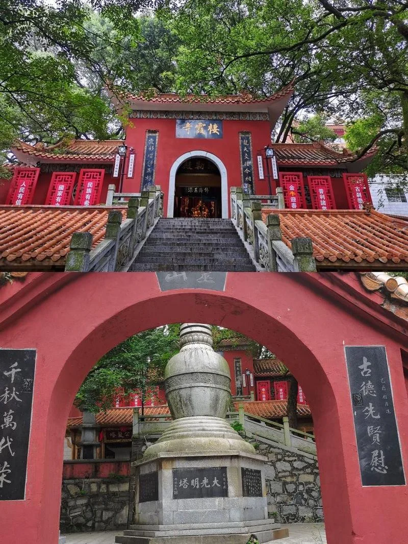 益阳好玩的景点有哪些-益阳好玩景点