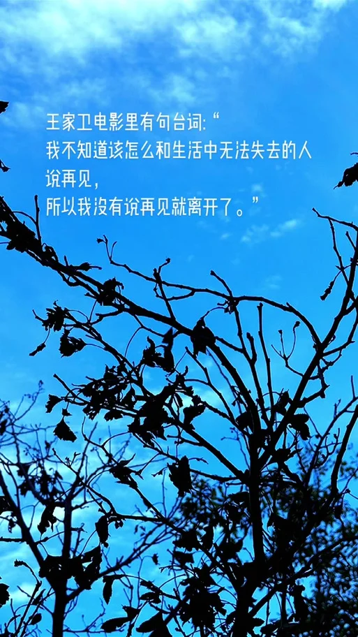 我也不知道是谁写的_2