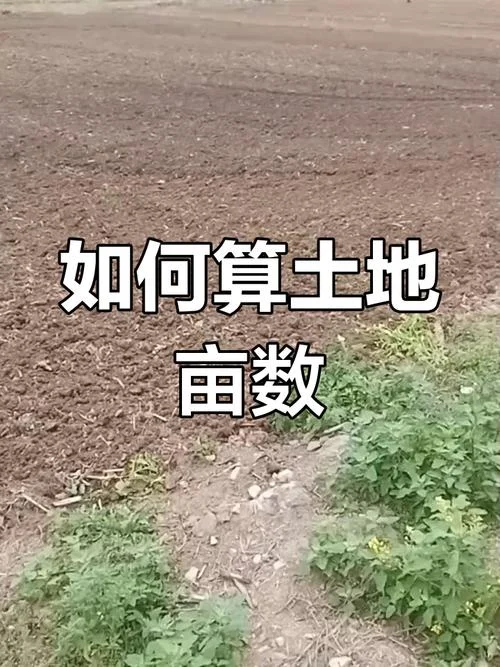 10平方米等于多少亩地_2