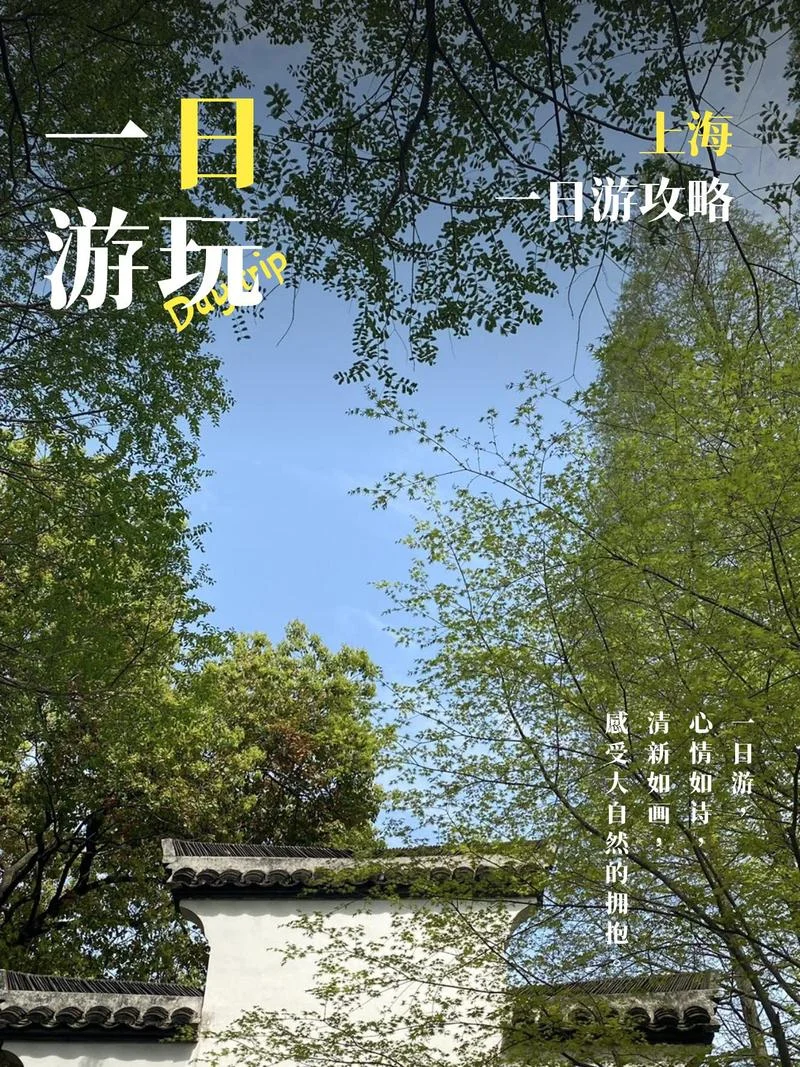 老年人上海一日游推荐路线_1