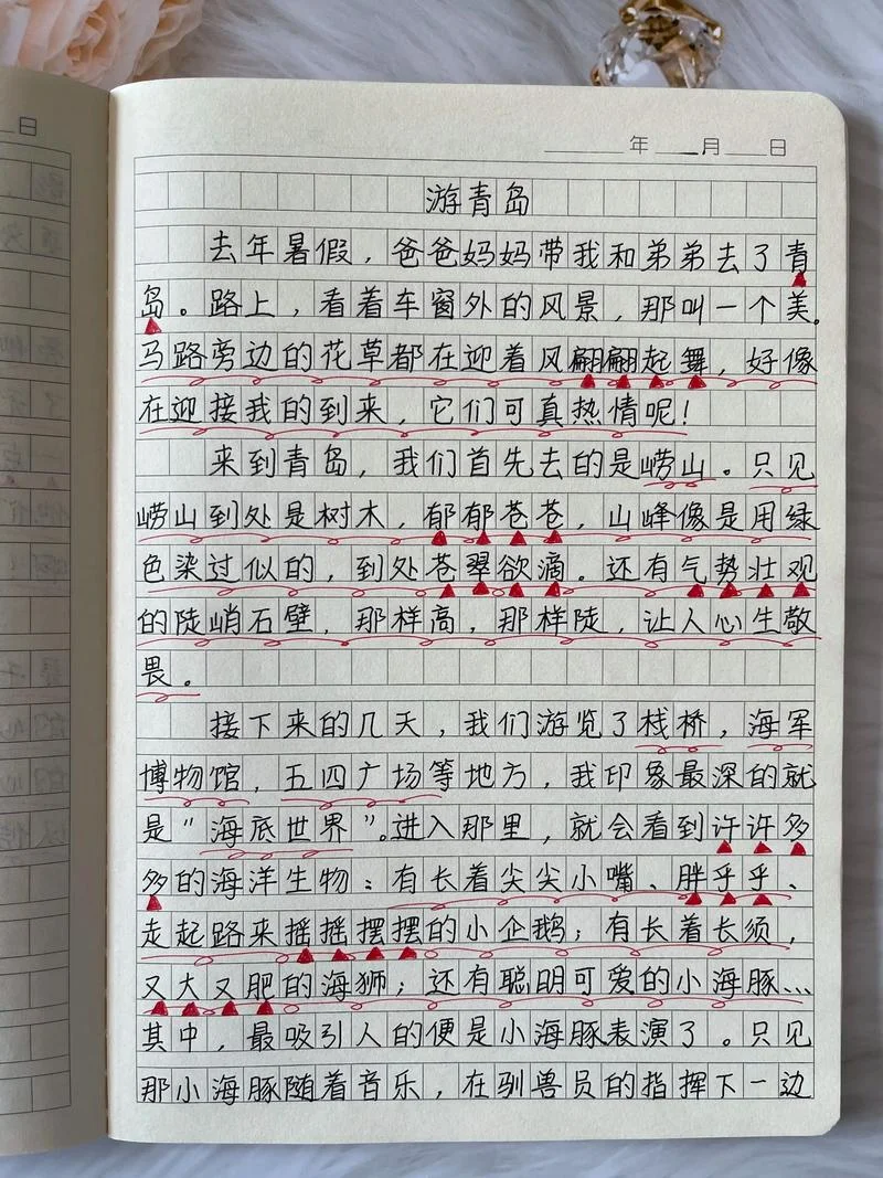 小学生游学报告怎么写_2
