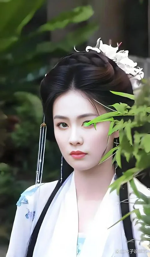 白鹿张凌赫演的电视剧叫什么-白鹿张凌赫主演剧