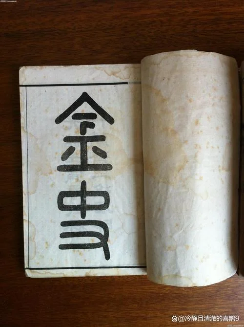 中国历史9:金史_2