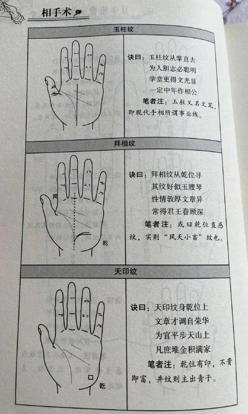 自己怎么看手相_1