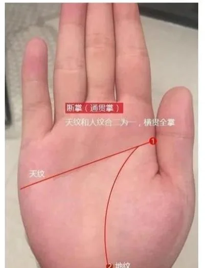 断掌纹怎么看手相图解_1