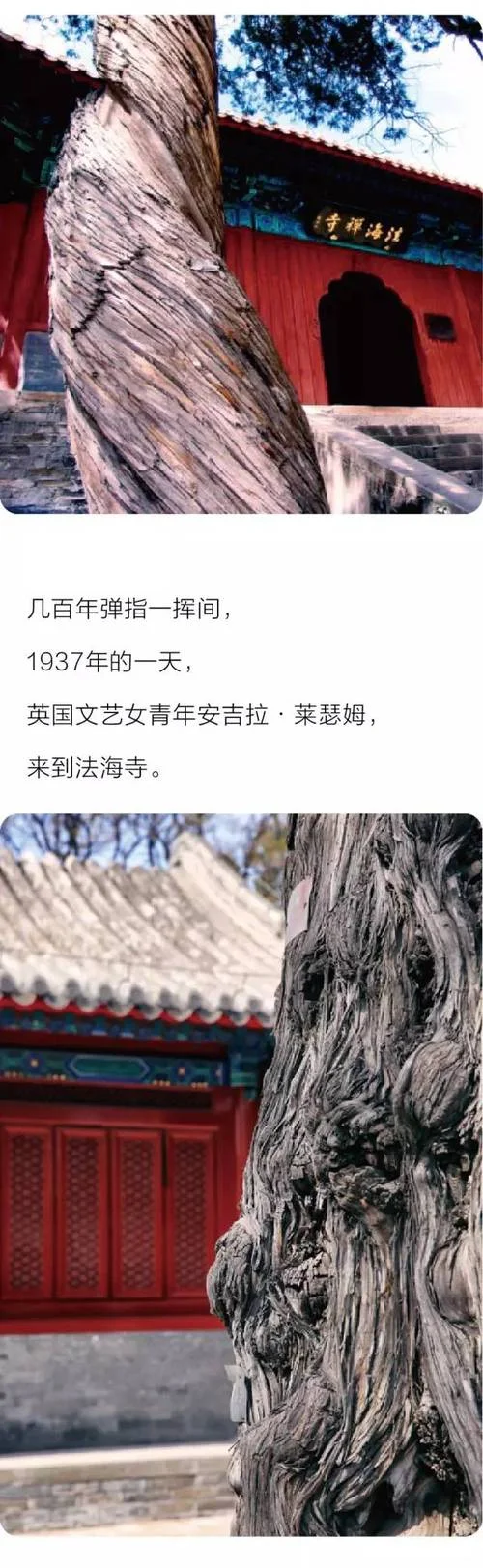 塌天大祸的出处_2