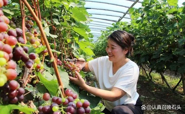 三十亩地一年挣多少钱_1