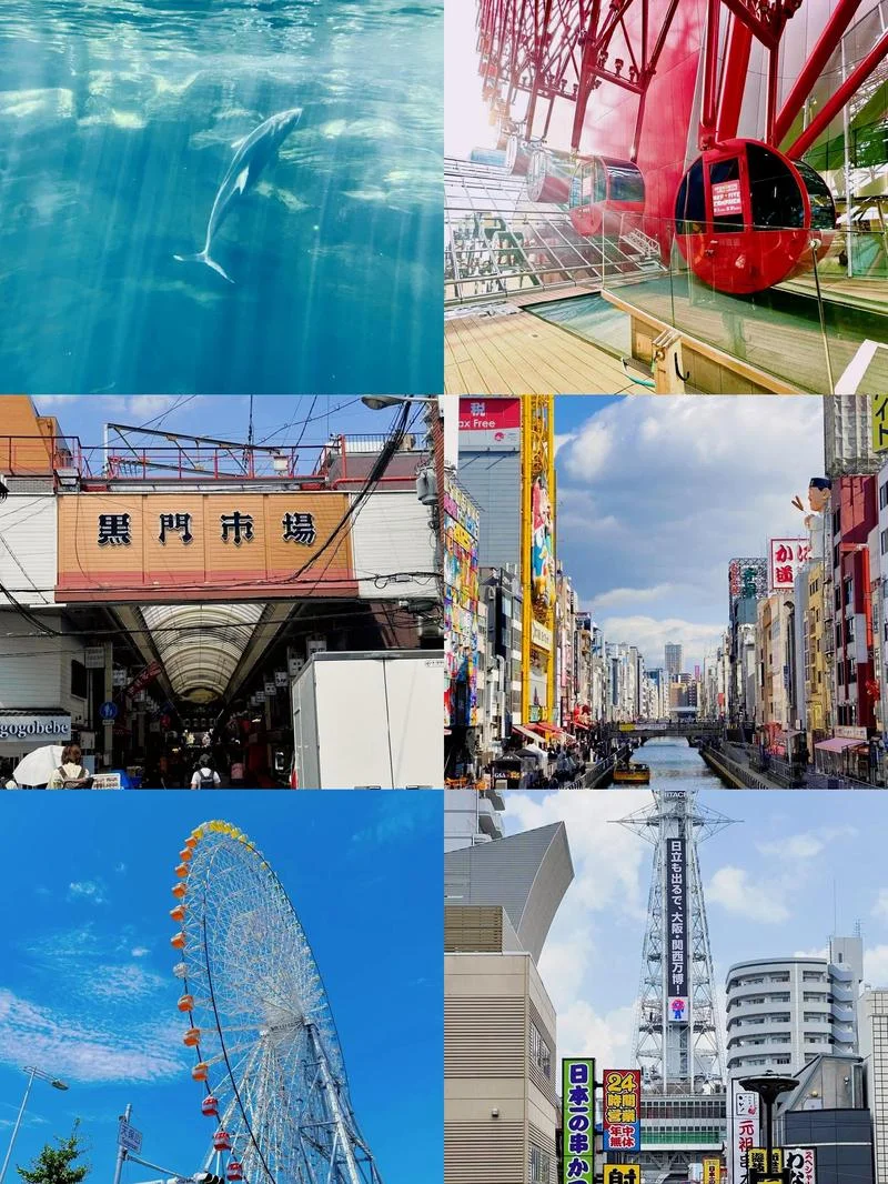 日本旅游主要景点大全_1