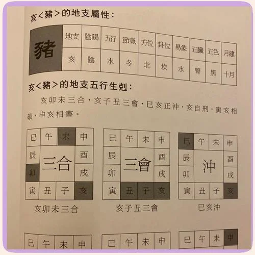猪宝宝起名字2007年_1