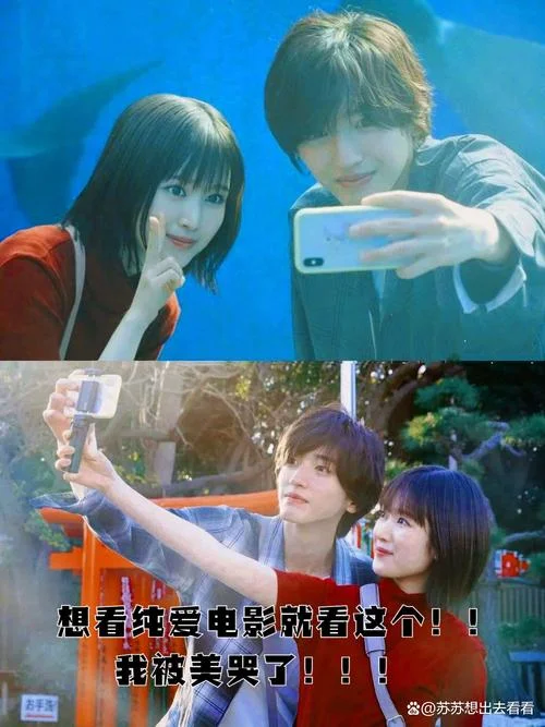 纯爱电影是什么意思_1