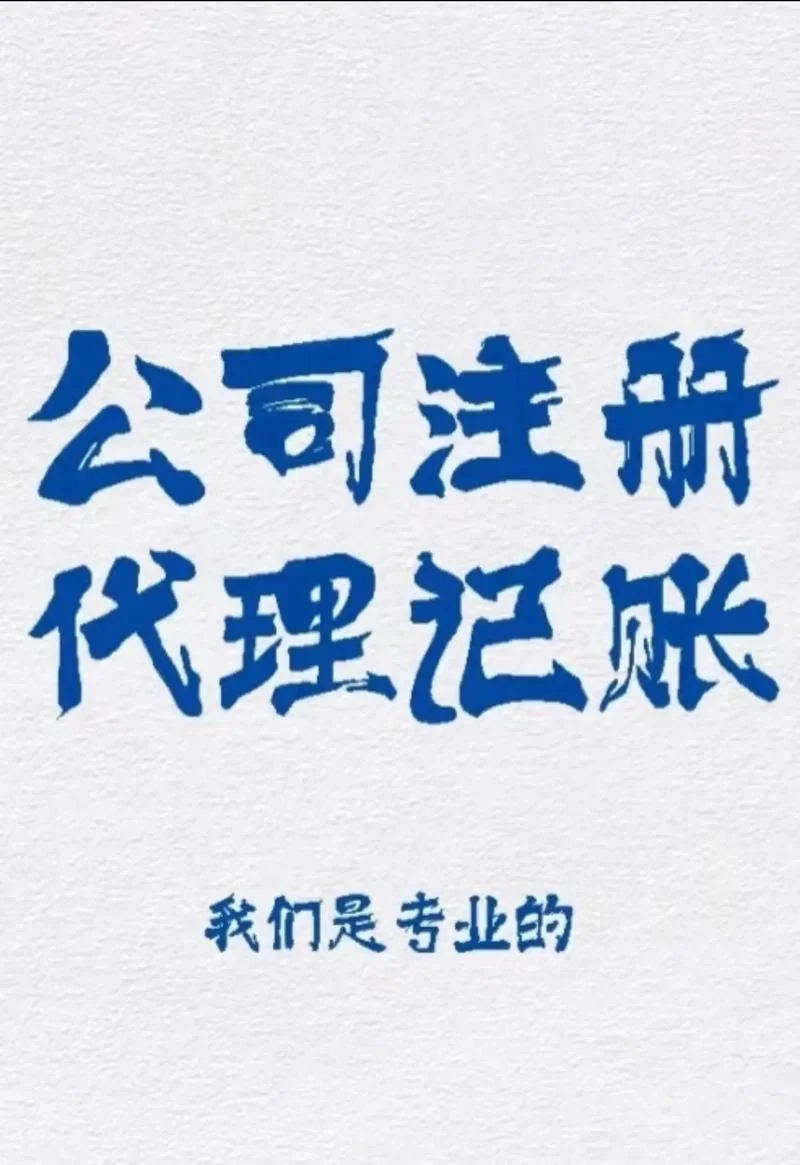 什么公司可以代理记账_2