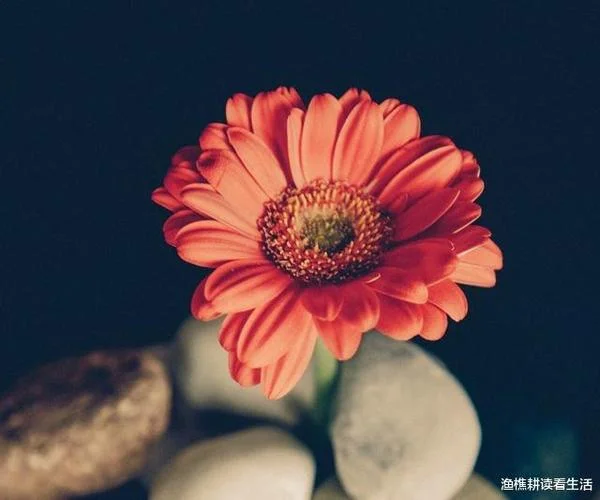 妄自菲薄出处_2