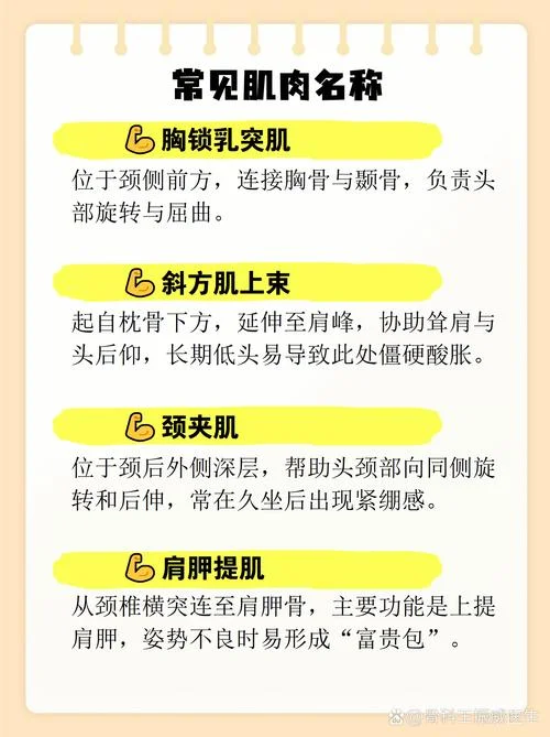 脖子上面叫什么_2