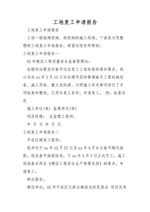 项目申请报告模板_1